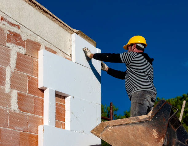 Best Local Insulation Services  in Tupelo, MS