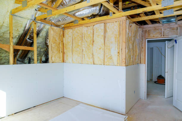 Best Professional Insulation Contractor  in Tupelo, MS