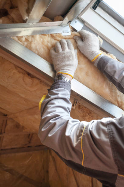 Best Best Insulation Companies  in Tupelo, MS