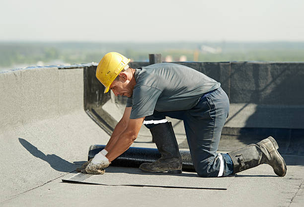 Best Home Insulation Services  in Tupelo, MS