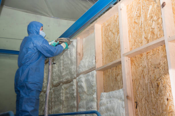 Best Affordable Insulation Services  in Tupelo, MS