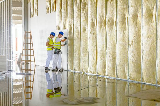Best Soundproof Insulation Installation  in Tupelo, MS
